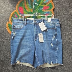 Judy Blue Distressed Blue Jean Shorts